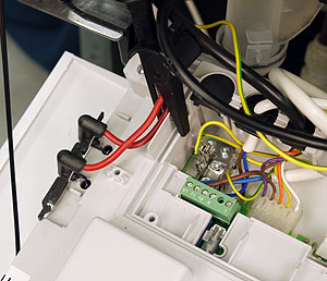 wc greenstar junior igl test pos.jpg